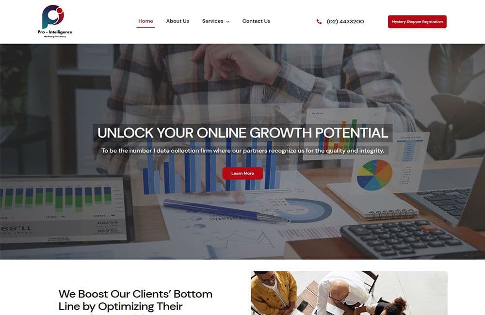 Screenshot of the Pro-Intelligence website