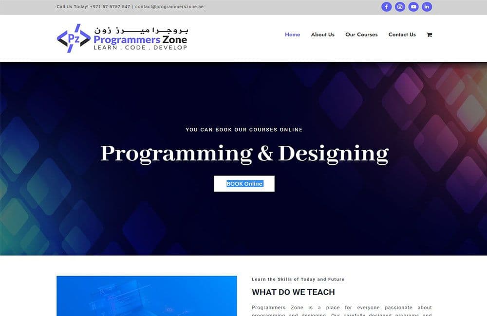 Screenshot of the Programmers Zone website